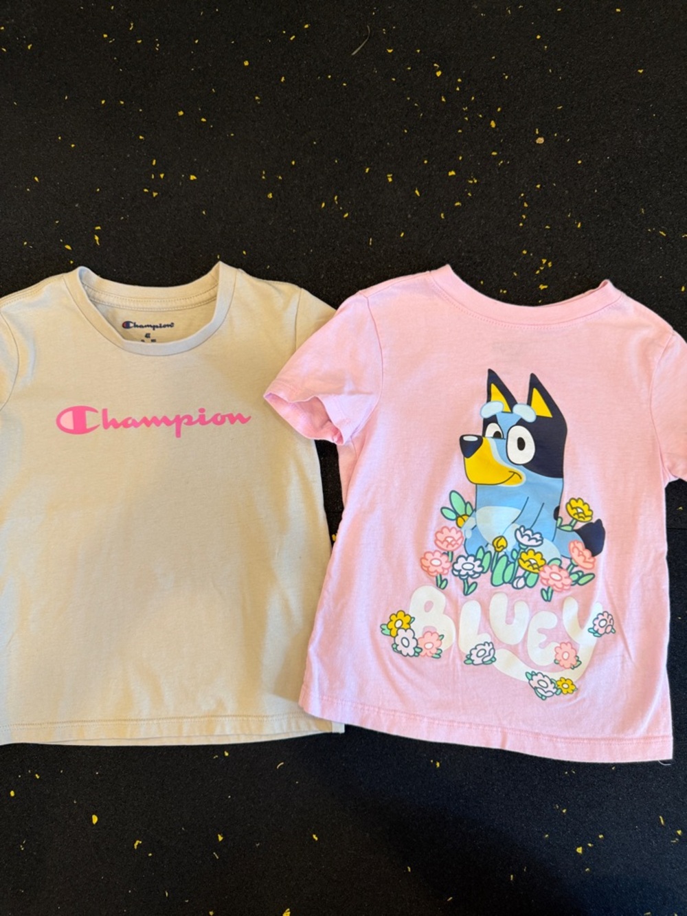 Champion Kids' Pink Graphic Tee & Bluey Tee Bundle (4T)